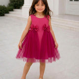 Pinkbell Wings Party Dress