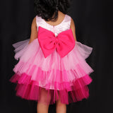 Kissed By Roses Party Frock