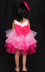 Kissed By Roses Party Frock