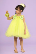 Load image into Gallery viewer, Tutu Dress with Tulle net 
