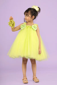 Tutu Dress with Tulle net 