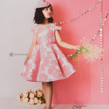 Sweet Cupcake Panel Frock