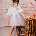Cozy Fur and Tulle Fabric Lavender Iceland Frock 
