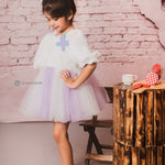 Soft Fur and Tulle Iceland Snuggle Frock for Party 
