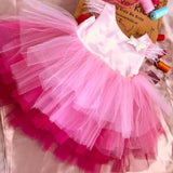 Kissed By Roses Party Frock