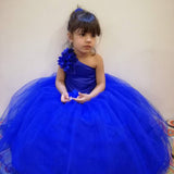 Blue Tulle Birthday Gown 