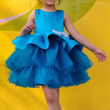 Midnight Ballerina Dress
