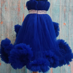 Blue Princess gown