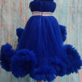 Blue Princess gown