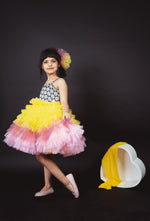 Load image into Gallery viewer, Swirly Blossom Dress
